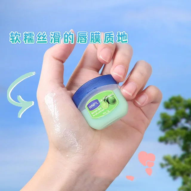 8/6/4/1Pcs Lip Balm Moisturizing Lipstick Base Moisturizer Makeup Natural Plant Anti-Cracking Lip Care Petroleum Jelly Lip Balm